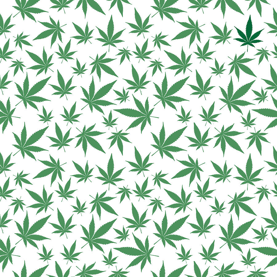 Marijuana Leaves Seamless Pattern Drawing by RobinOlimb
