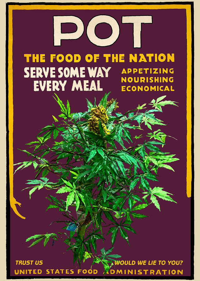 Marijuana Poster Digital Art by John Haldane