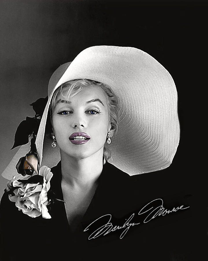 Marilyn Digital Art by Gary Baird