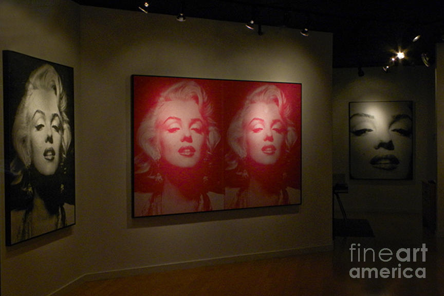 Marilyn Monroe Gallery Photograph by Ron Sanford