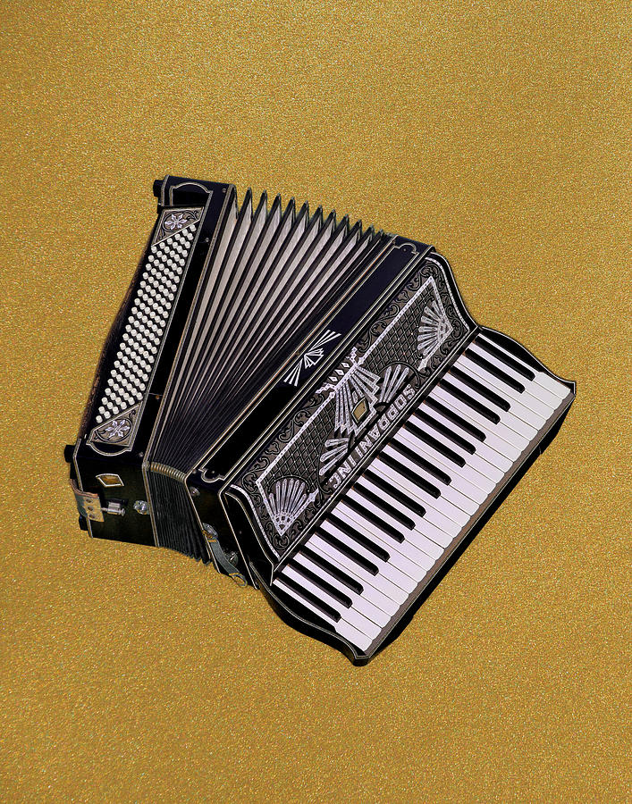 Marilyns Accordion Photograph by Jamieson Brown