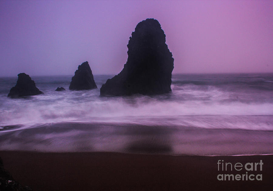 San Francisco Photograph - Marin Coast by Suzanne Luft