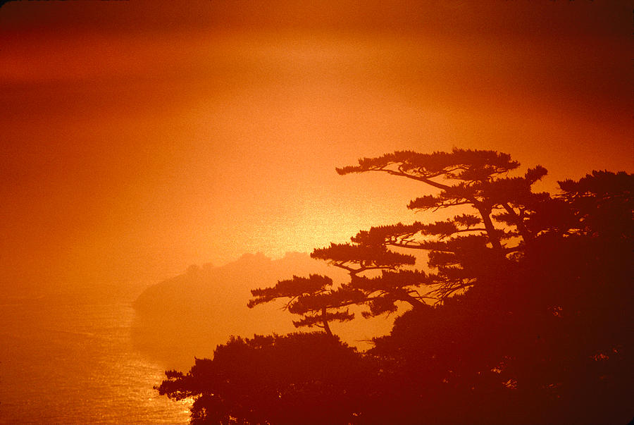 Marin County Sunset Fog Photograph by Wernher Krutein