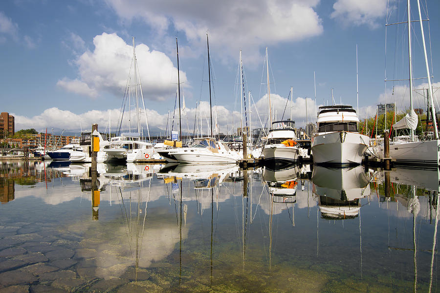 Marina Photograph - Marina at Granville Island Vancouver BC by David Gn Marina Photograph - Marina at Granville Island Vancouver BC by David Gn