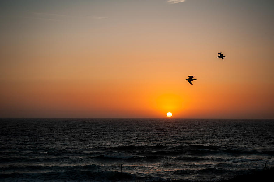 Marina Beach Park Sunset Photograph by Dan McManus