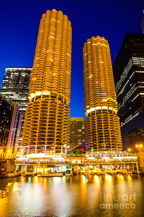 Marina City Towers at Night  Picture Photograph by Paul Velgos