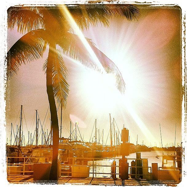 Miami Photograph - Marina Morning by Little Flower