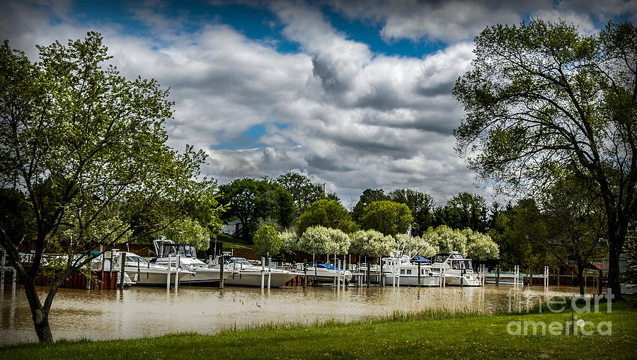 Marina on Pine River in St Clair MI Photograph by Ronald Grogan