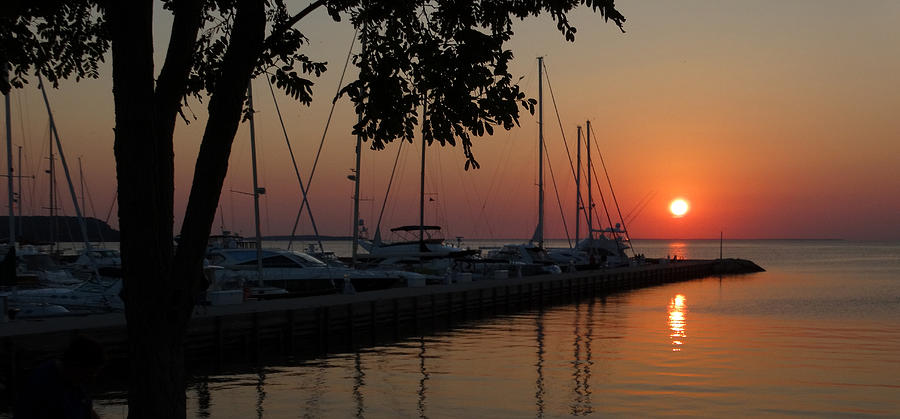 Marina Sunset Photograph by David T Wilkinson