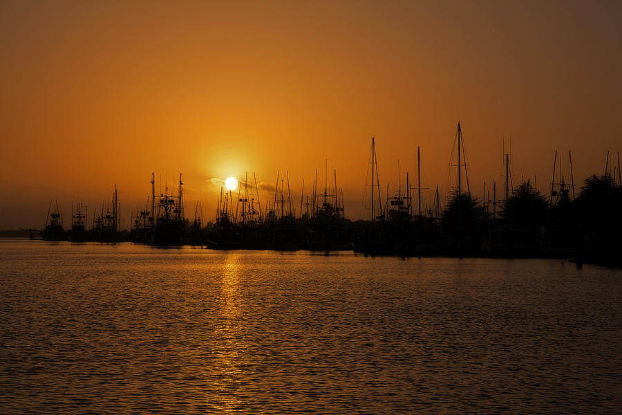 Marina Sunset Photograph by Mark Alder