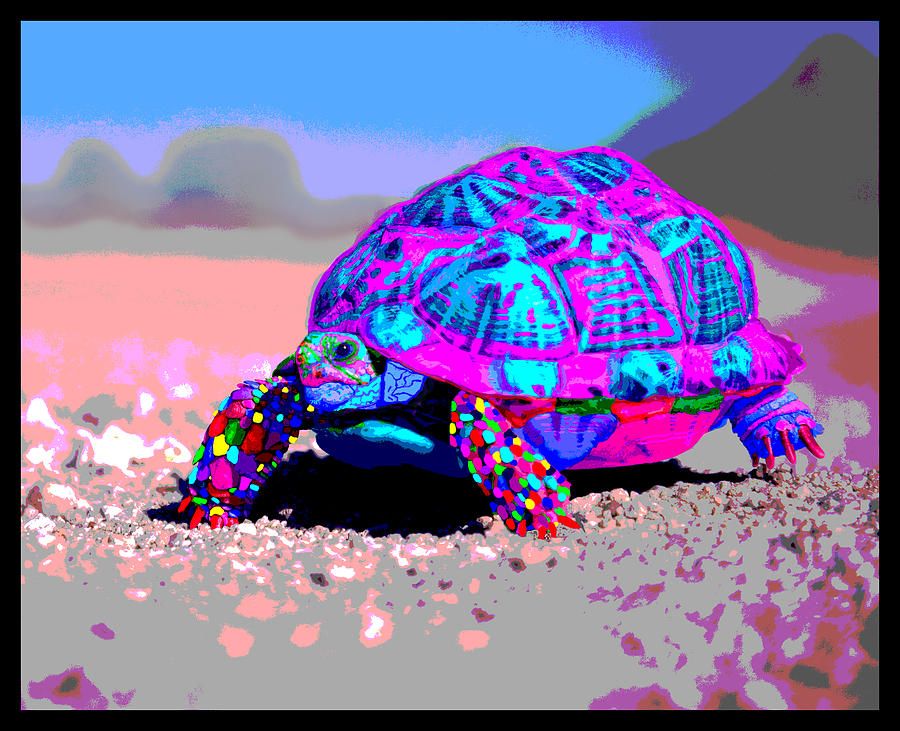 Marine Corporals Turtle in Peace Paint v11 Photograph by Kenneth James