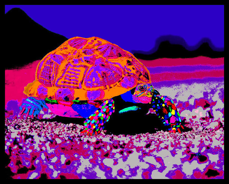 Marine Corporals Turtle in Peace Paint v3 Photograph by Kenneth James