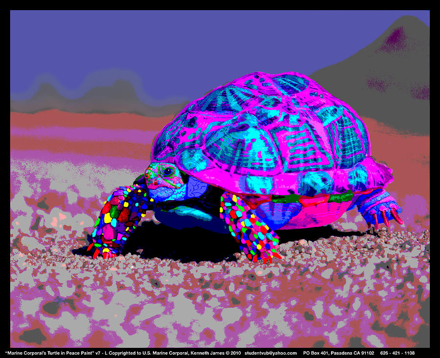 Marine Corporals Turtle In Peace Paint V9 Photograph