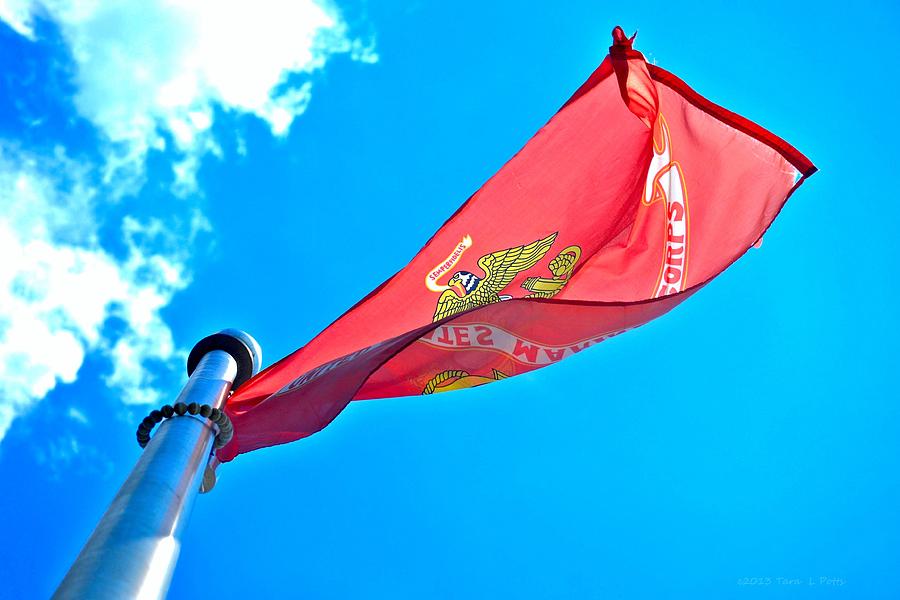 Marine Corps Flag Photograph by Tara Potts