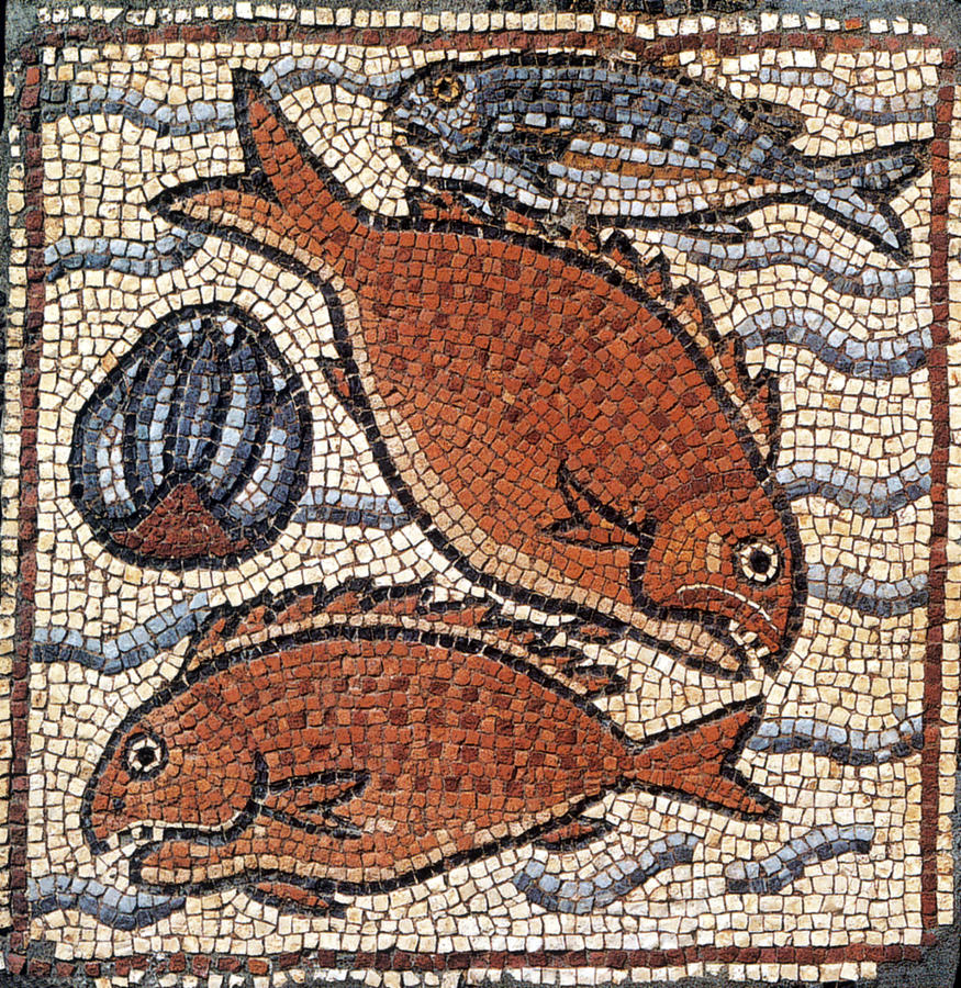 Marine Fauna, Byzantine Mosaic, 6th Photograph by Science Source