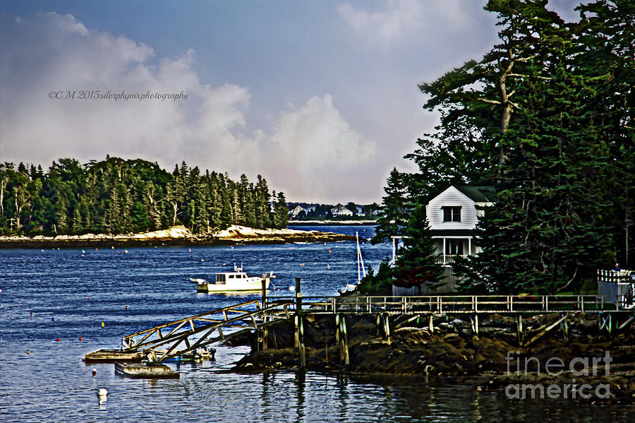 Marine Maine Life Photograph by Catherine Melvin Fine Art America