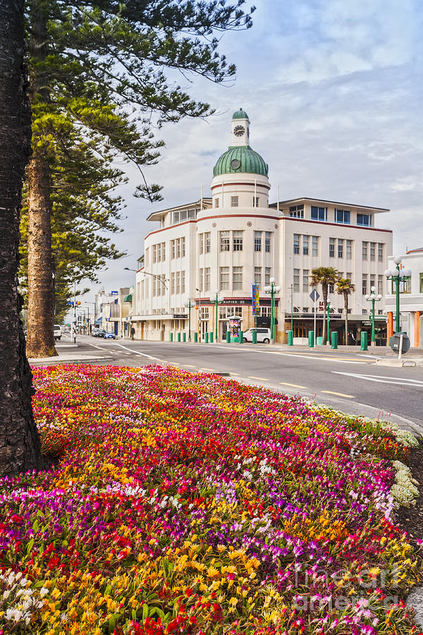 Spring Photograph - Marine Parade in Spring Napier New Zealand by Colin and Linda McKie