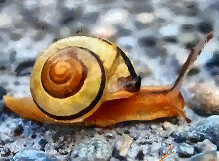 Sea Shells Painting - Marine Snail by Doggy Lips