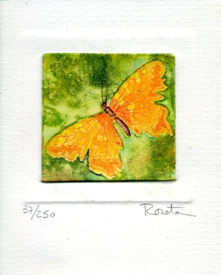 Mariposa Painting by Roseta Ballester - Fine Art America