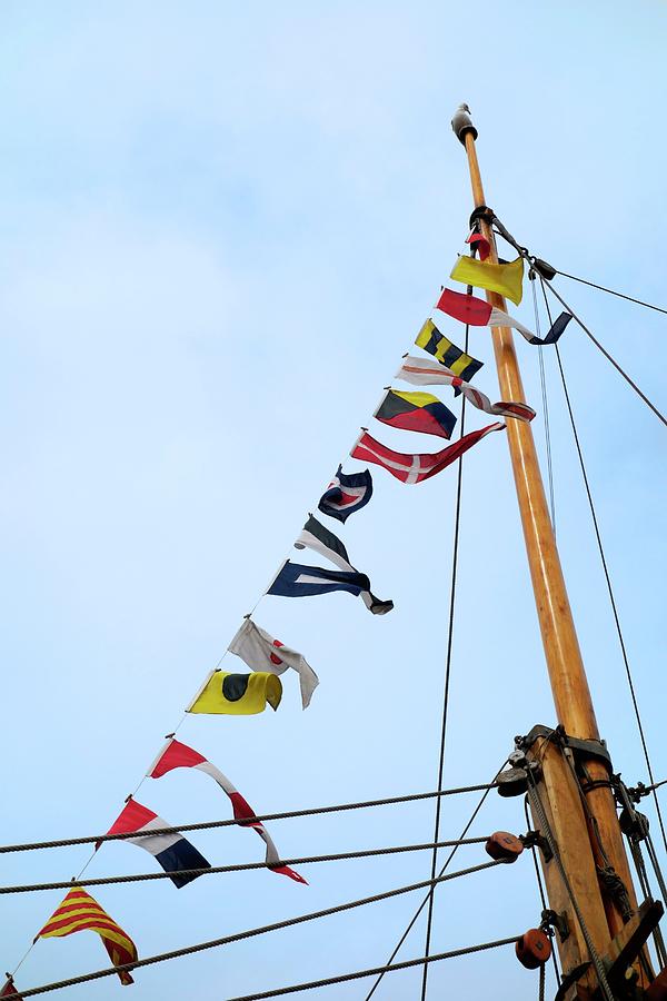 Maritime Signal Flags Photograph by Cordelia Molloy