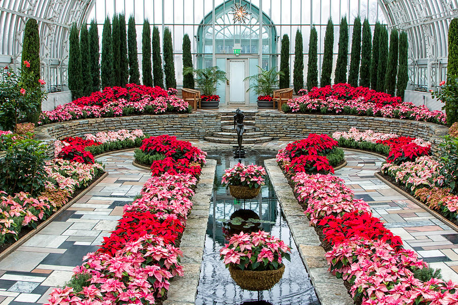 Marjorie McNeely Conservatory Photograph by Ken Wolter - Pixels