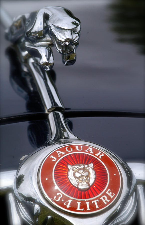 Transportation Photograph - Mark 1 3.4 Litre Jaguar Car Mascot and Badge by John Colley