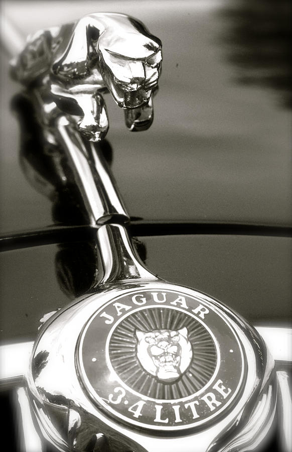 Mark 1 Jaguar 3.4 Litre Hood Emblem and Mascot Photograph by John Colley