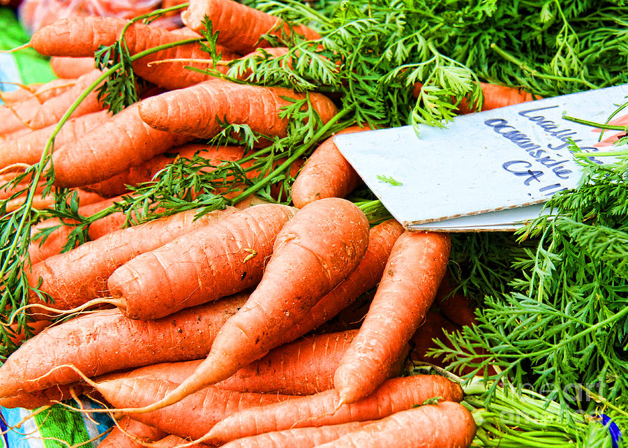 Market Carrots by Diana Sainz Photograph by Diana Raquel Sainz