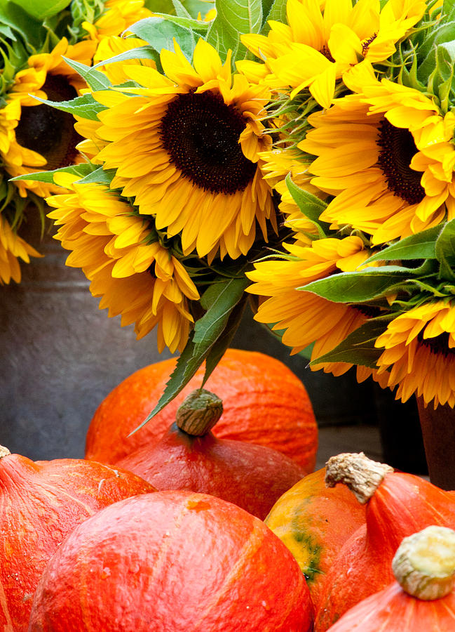 Market Day Photograph by CJ Middendorf - Fine Art America