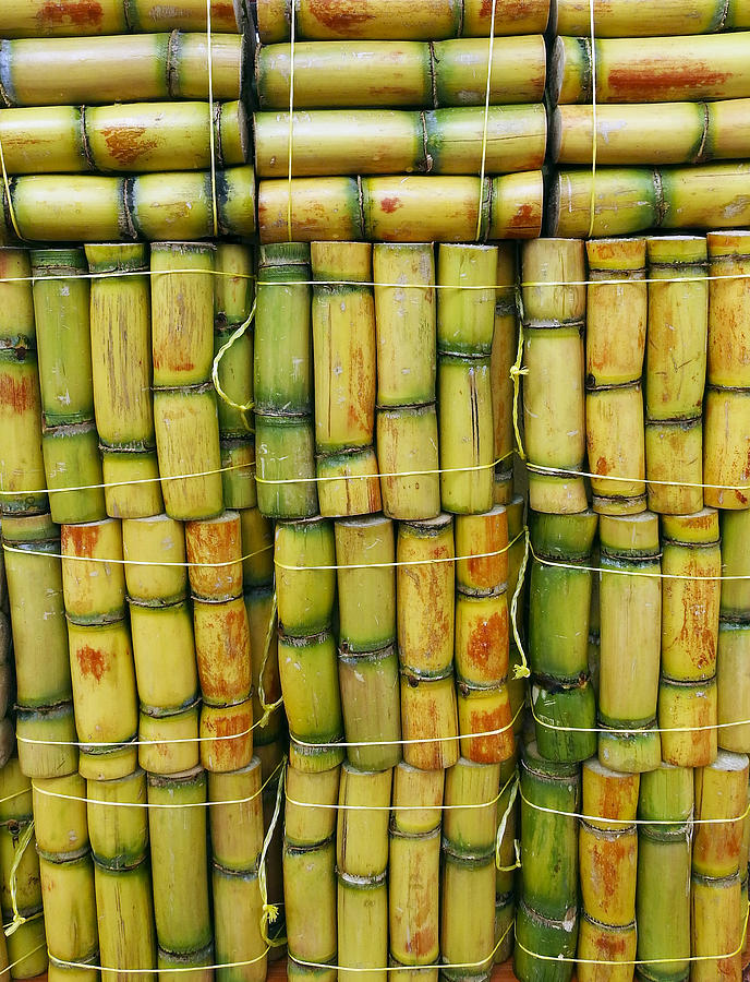 Market Sugarcane Photograph by Kurt Van Wagner