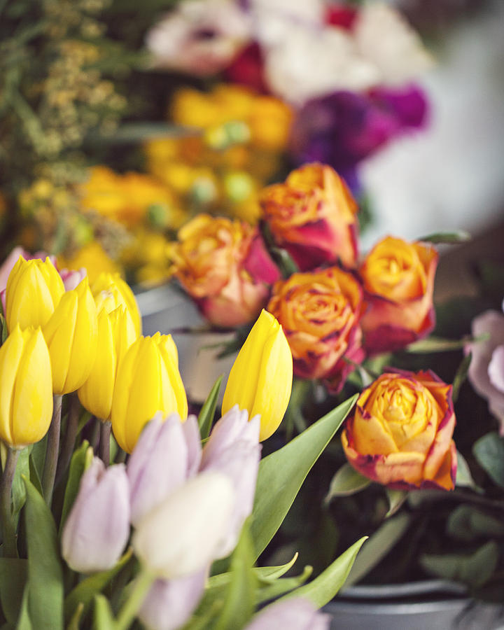 Market Tulips - Paris, France Photograph by Melanie Alexandra Price