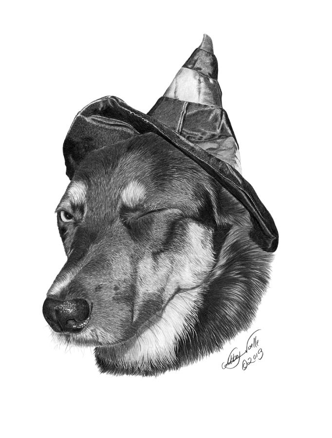 German Shepherd Drawing - Marlee in Witchs Hat -021 by Abbey Noelle