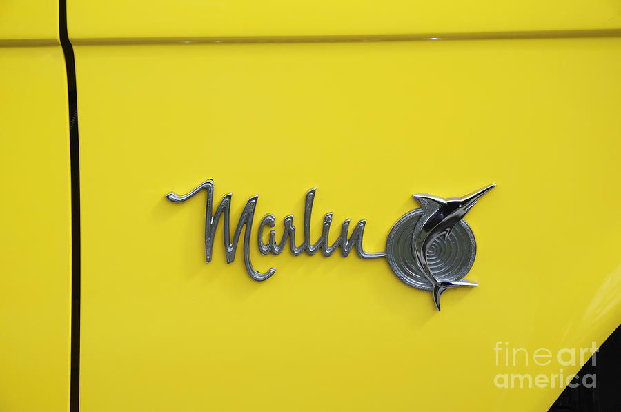 Marlin Logo Photograph by Brenda Kean