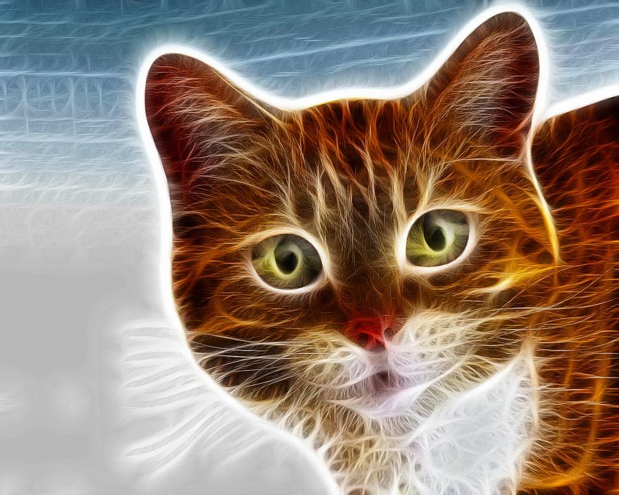 Marmalade Kitty Digital Art by Lilia S