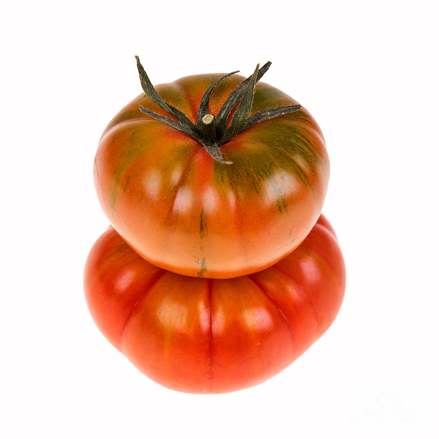 Marmande tomatoes Photograph by Jane Rix
