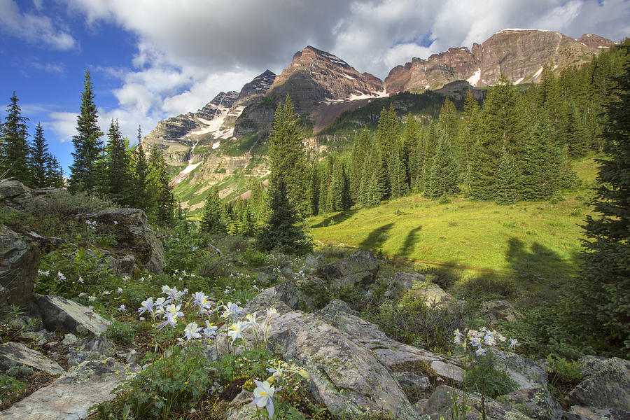 Rocky Mountains Photograph - Maroon Bells Images - Columbine and the Bells on a July Morning  by Rob Greebon