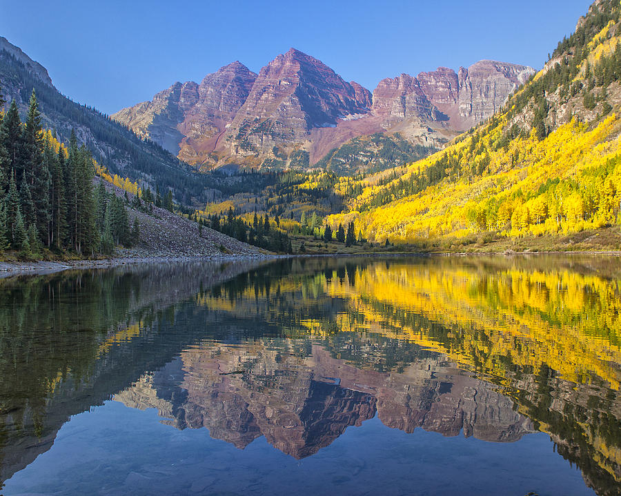 Maroon Bells in fall Photograph by David Soldano