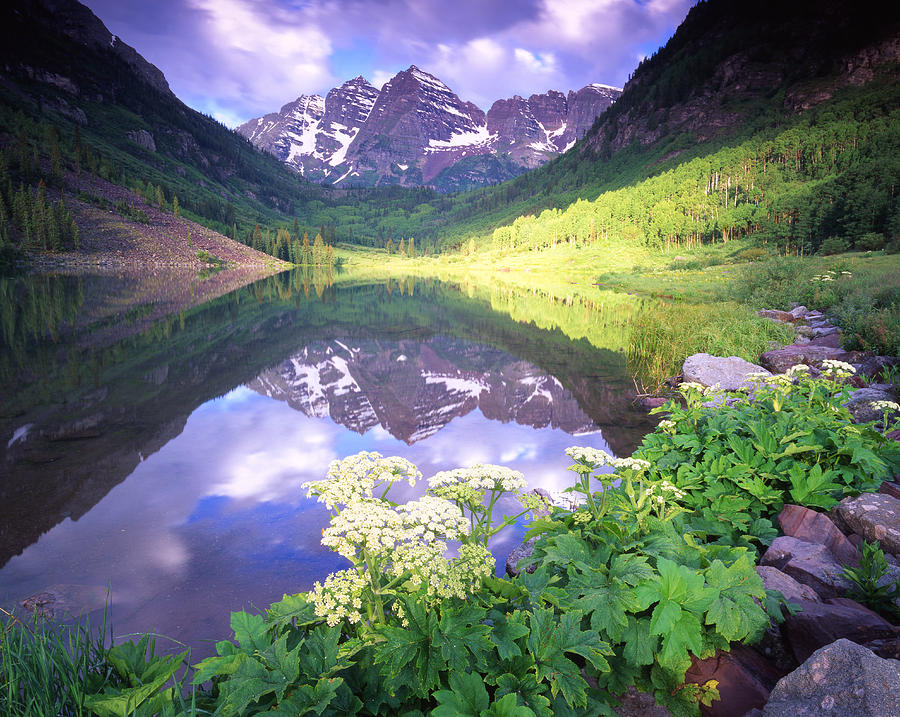 Maroon Bells Reflection Photograph by Ray Mathis