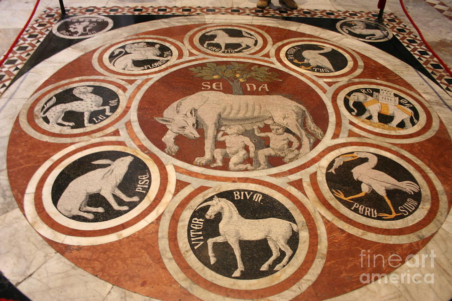 Animal Photograph - Marple Floor - Cathedral Siena by Christiane Schulze Art And Photography