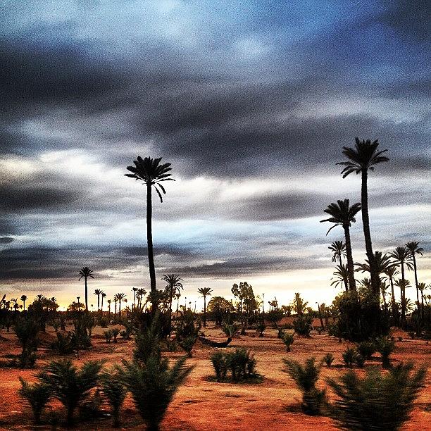 Nature Photograph - Marrakech, Morocco #sky #clouds #trees by Rachit Hirani