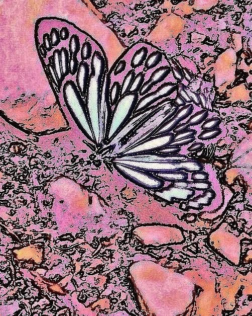 Butterfly Photograph - Marsala Butterfly Abstract by Kim Bemis