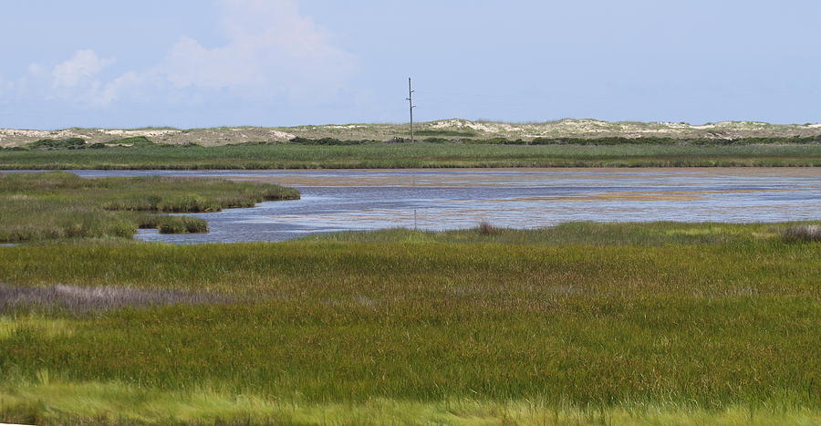 Landscape Photograph - Marsh at Bodie 3 by Cathy Lindsey