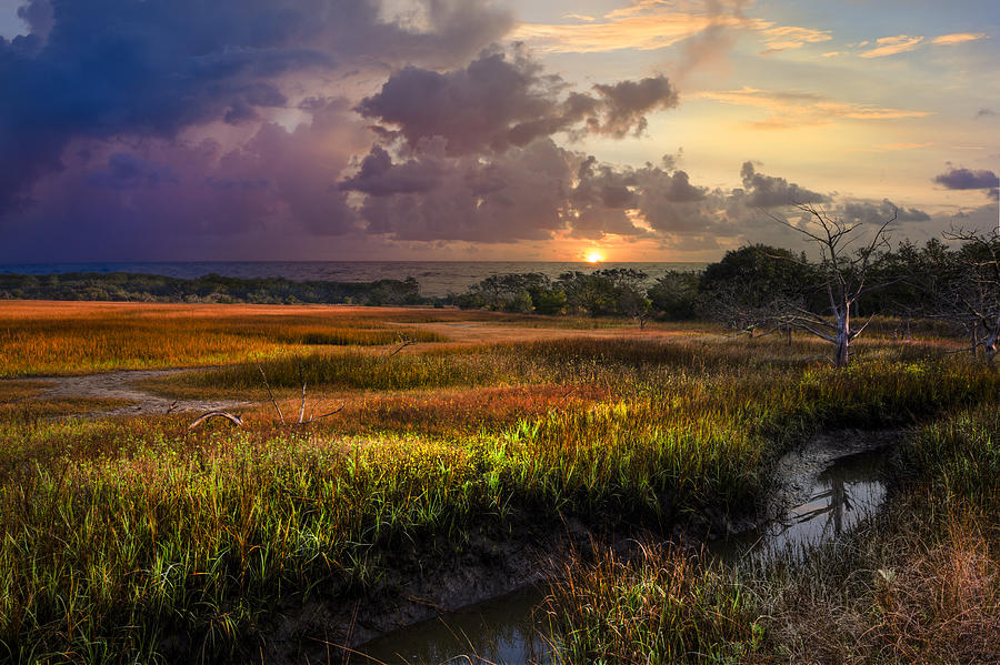 Landscape Photograph - Marsh at Sunrise by Debra and Dave Vanderlaan