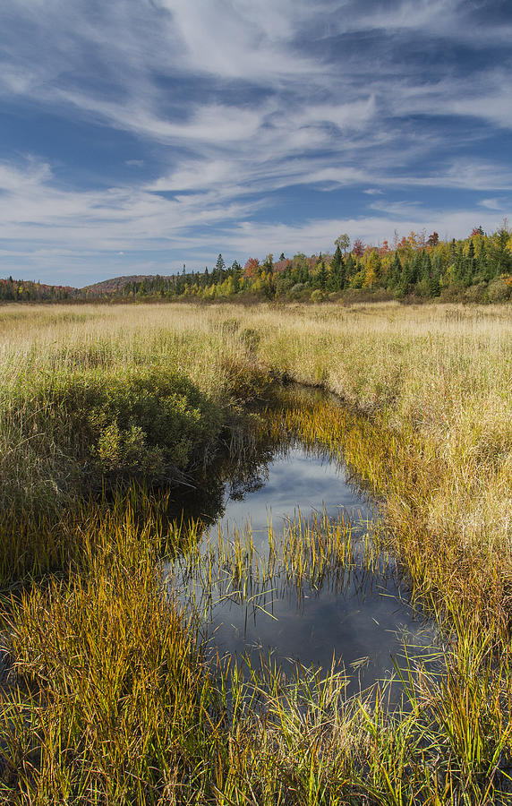 Marsh Autumn Vermont Reflections Sky Clouds Photograph By Andy Gimino