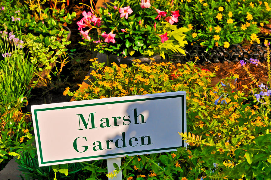 Marsh Garden Sign and Flowers Photograph by Ginger Wakem
