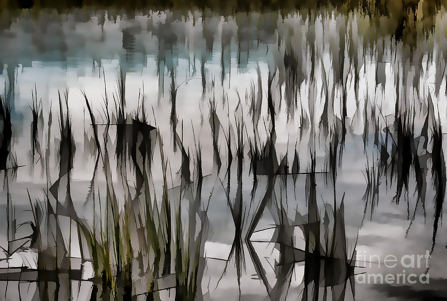 Marsh Grass Abstract Photograph by Michelle Tinger