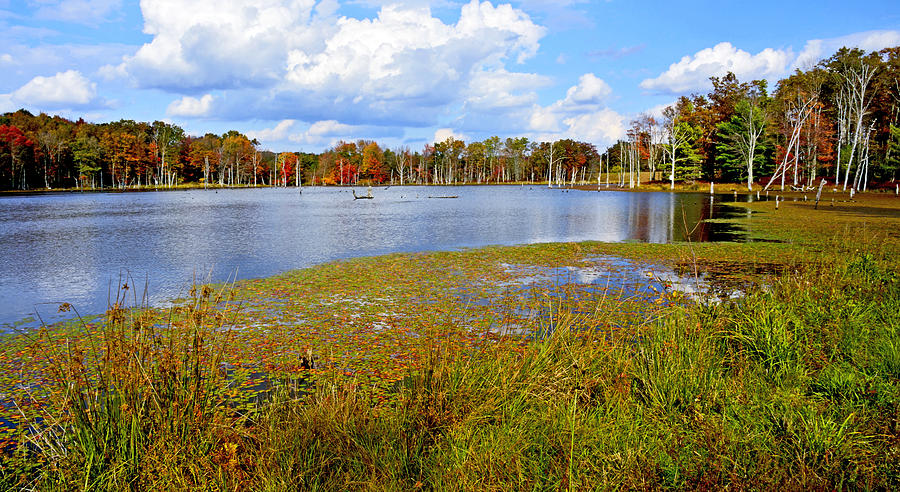 Marsh in Autumn Pocono Mountais Pennsylvania Photograph by A Macarthur Gurmankin