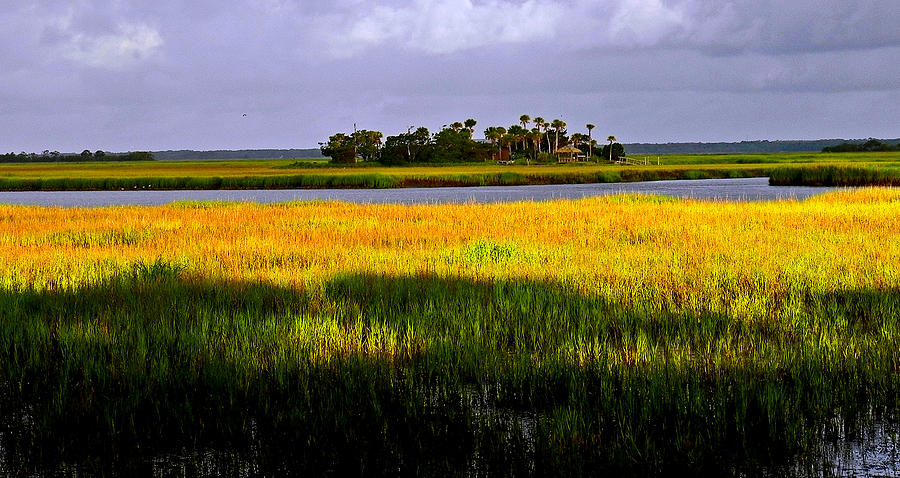 Marsh Island in Morning Photograph by Patricia Greer