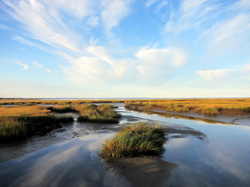 Marsh Light Photograph by Baratz Tom - Fine Art America