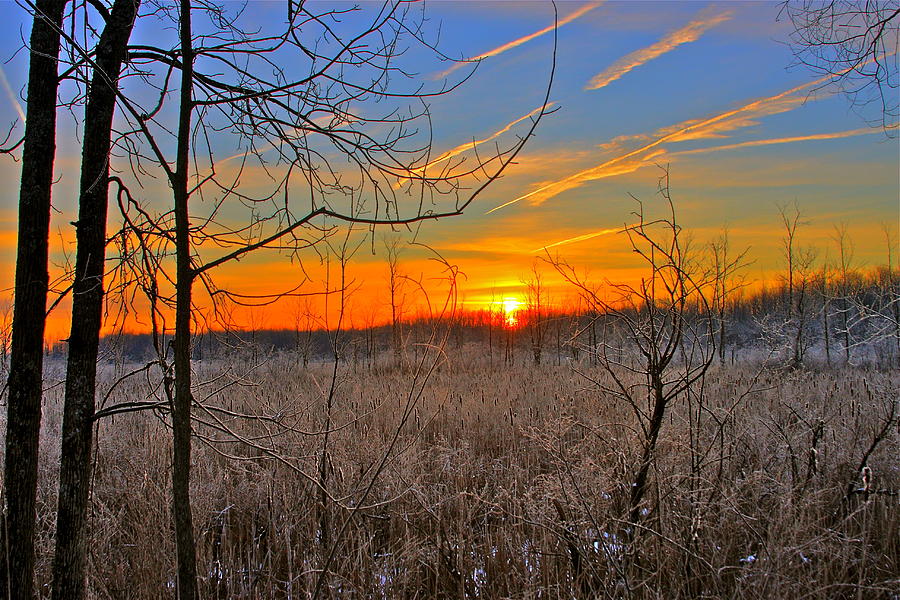 Marsh Mill Photograph By Steve Ratliff | Fine Art America